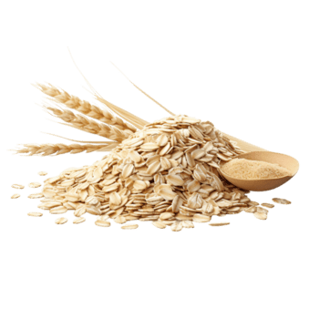 Avena