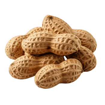 Cacahuate